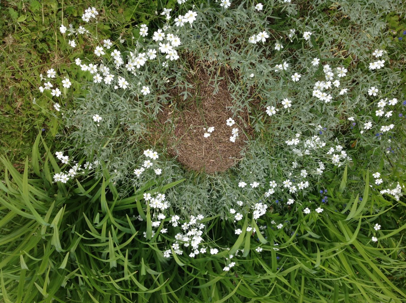 Valokuvaaja: Mirja Koskinen