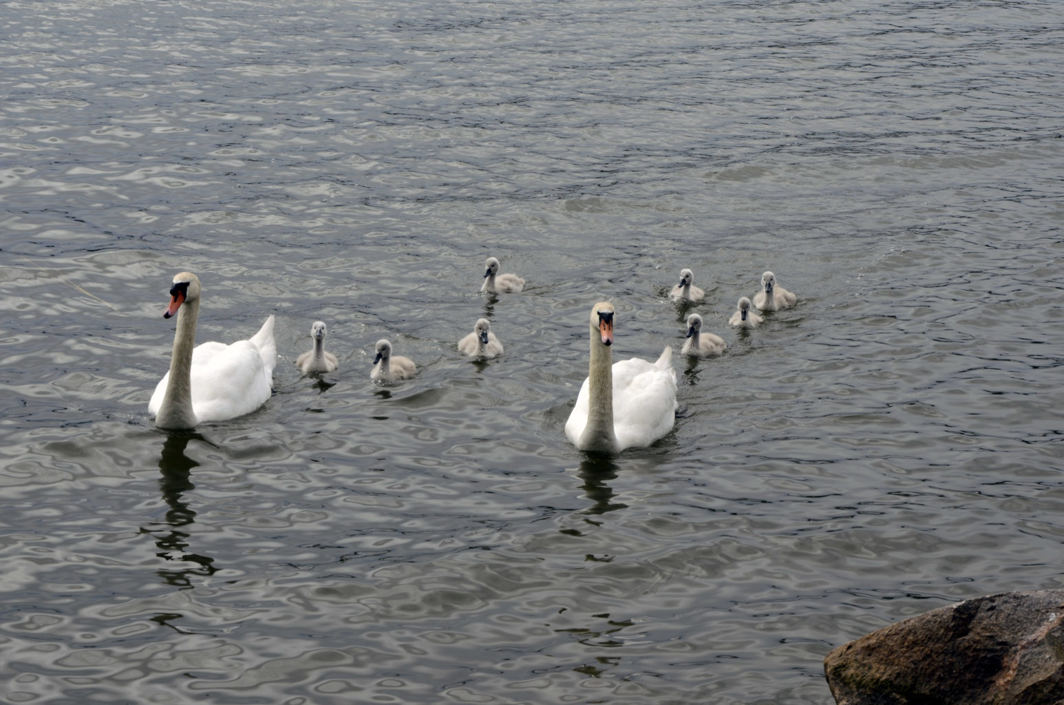 Valokuvaaja: Michael von Matt