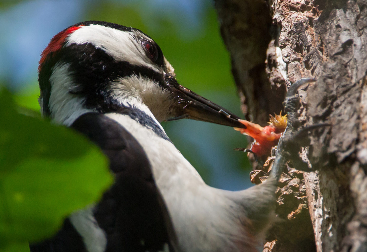 Valokuvaaja: Heikki Mahlamäki
