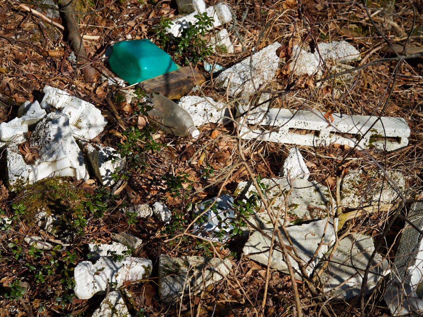 Valokuvaaja: Anne Tarvainen