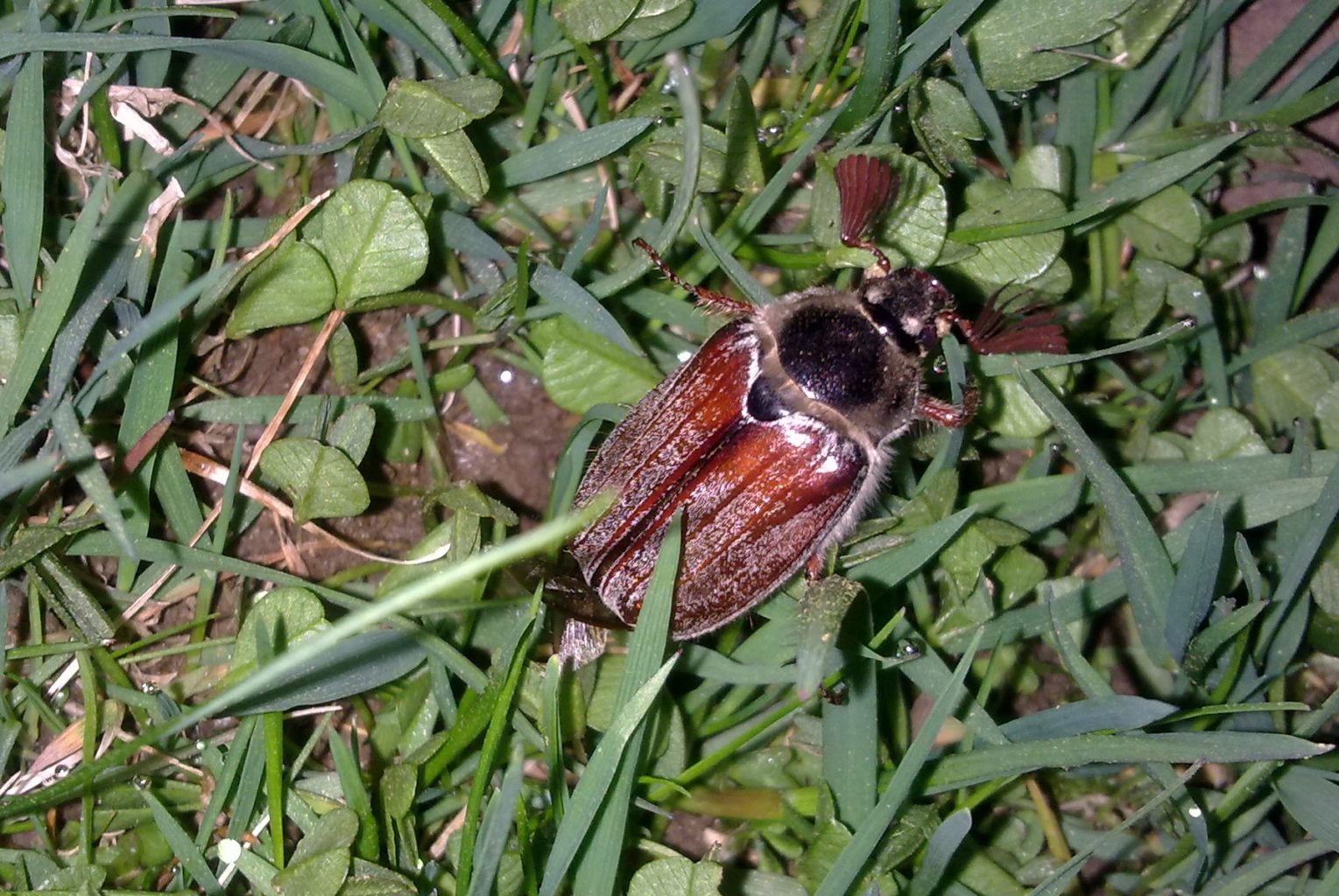 Valokuvaaja: Sirpa Vellonen