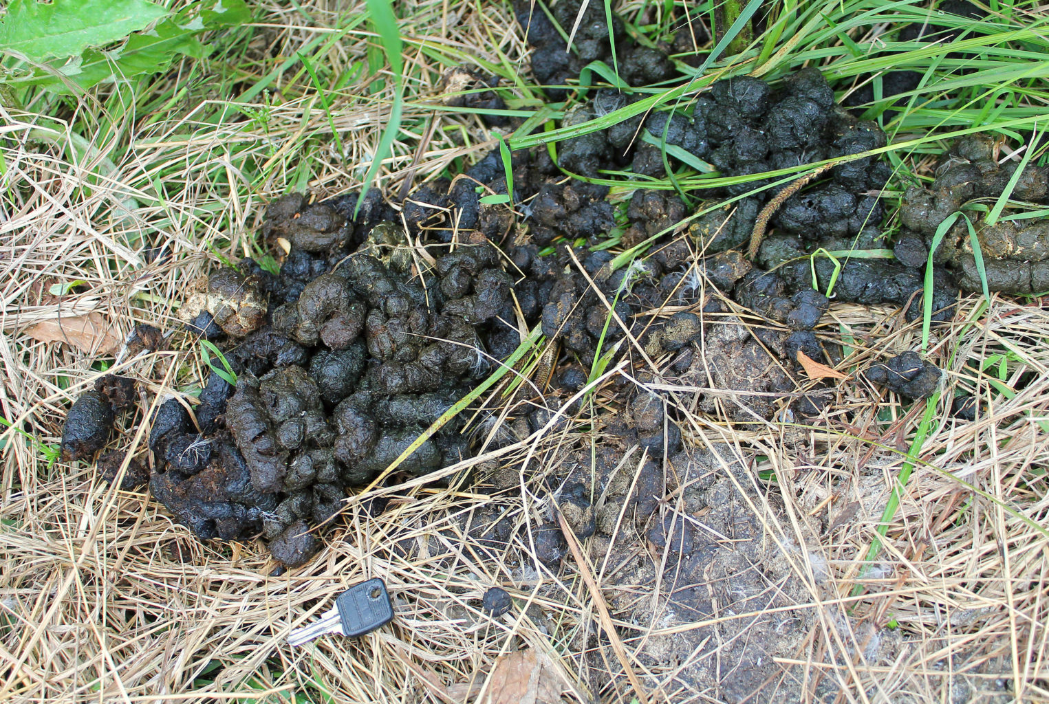 Valokuvaaja: Katri Mäkinen