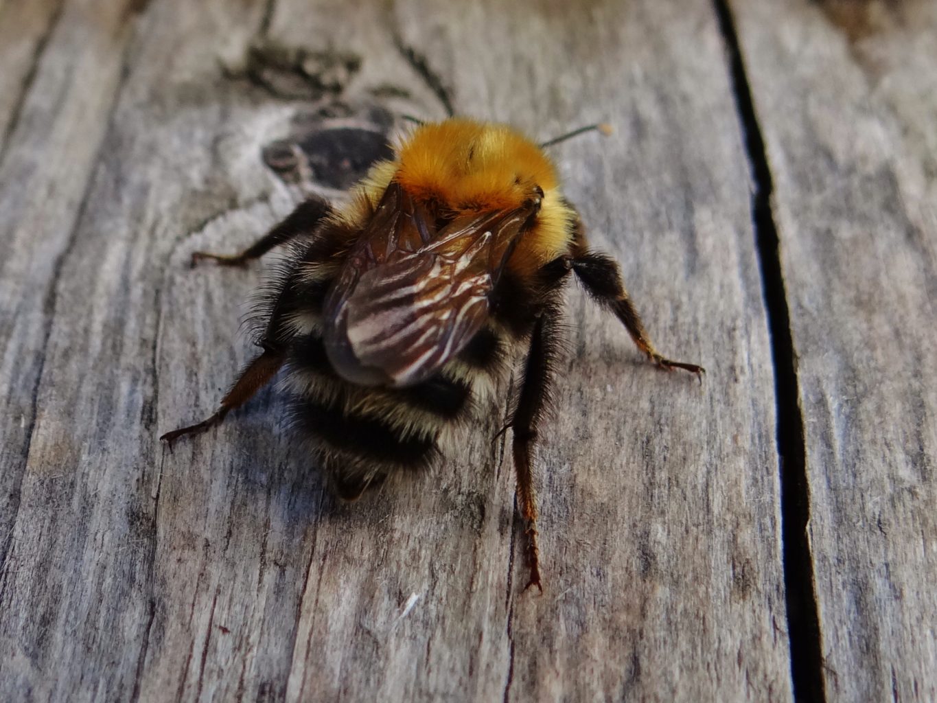 Valokuvaaja: Aune Viik