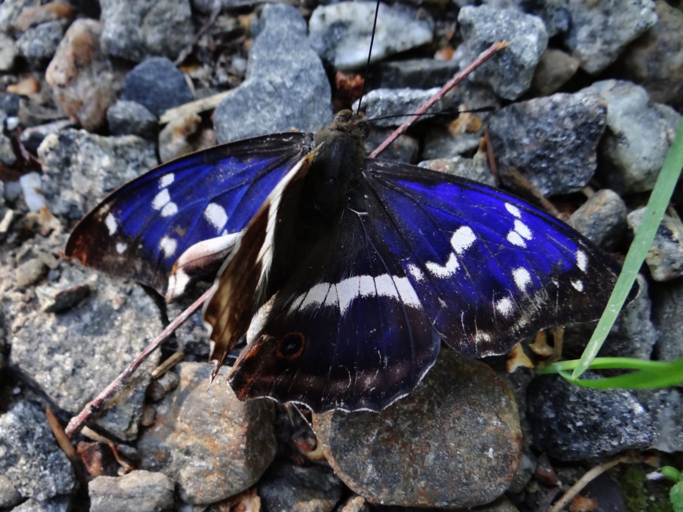 Valokuvaaja: Aune Viik
