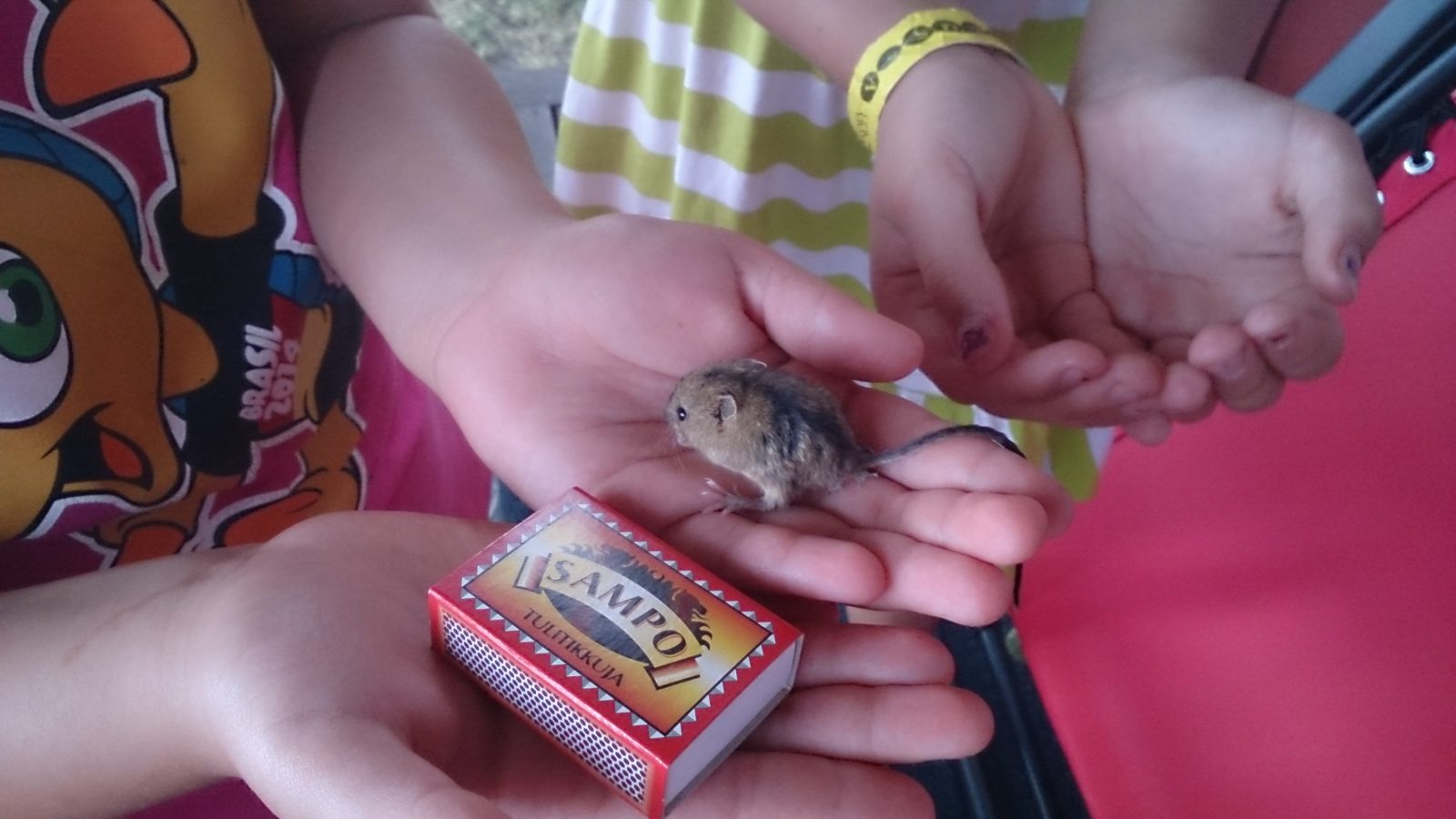 Valokuvaaja: Jenni Ojamaa