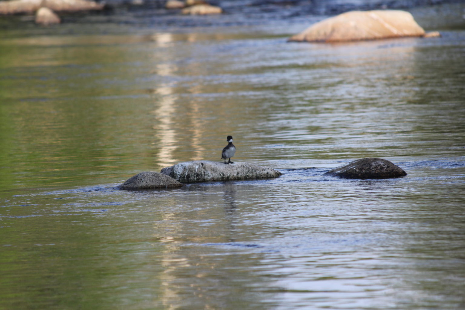 Valokuvaaja: Sirkka Huitila