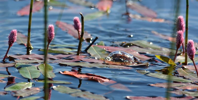 Valokuvaaja: Heli Korhonen