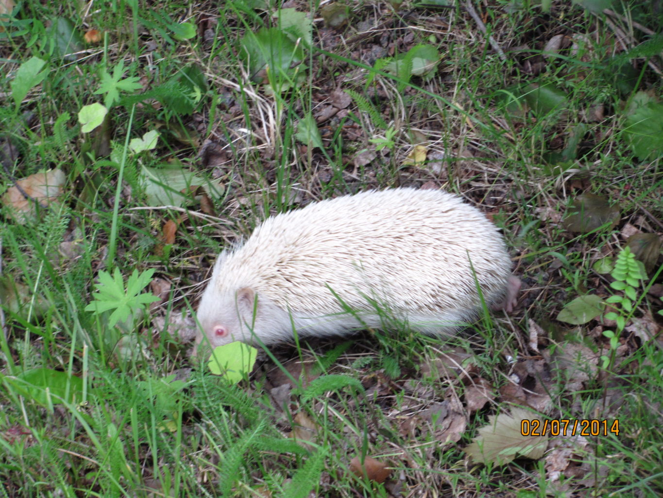 Valokuvaaja: Minna Leinonen