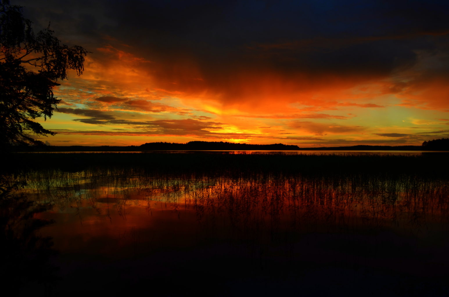 Valokuvaaja: Eija Varjola