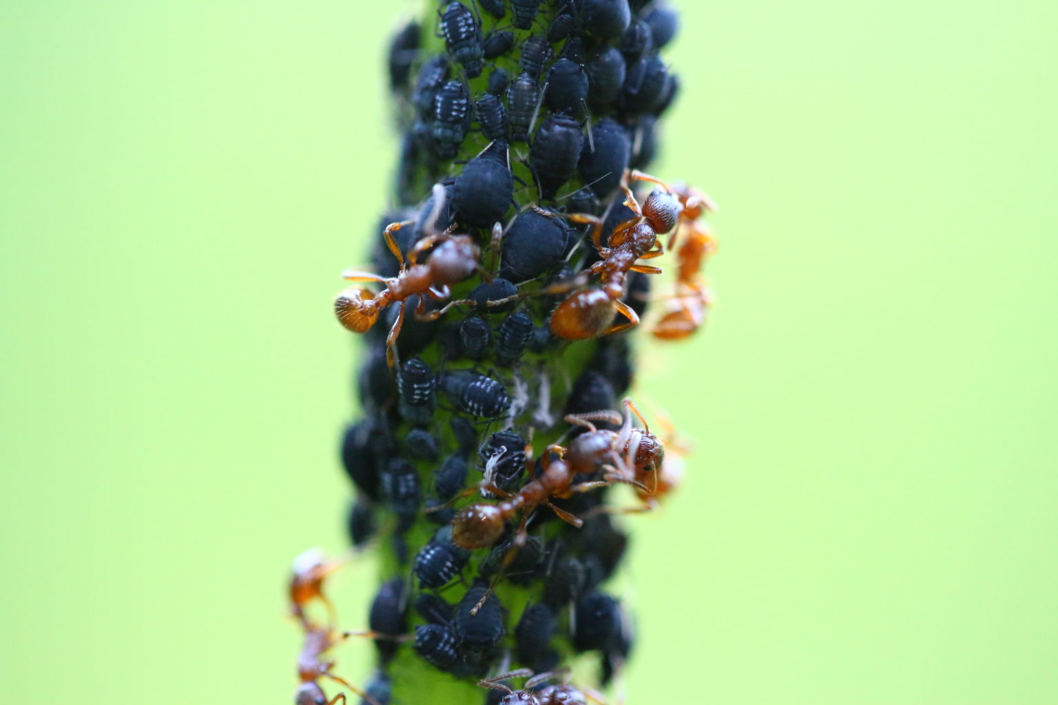 Valokuvaaja: Anne Patana