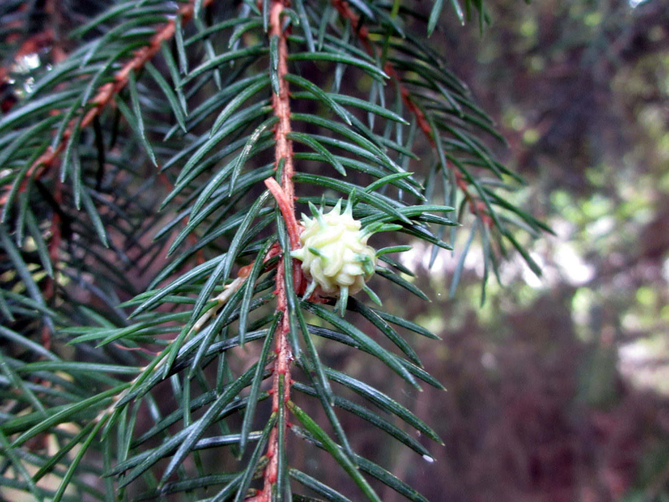 Valokuvaaja: Lauri Rantamäki