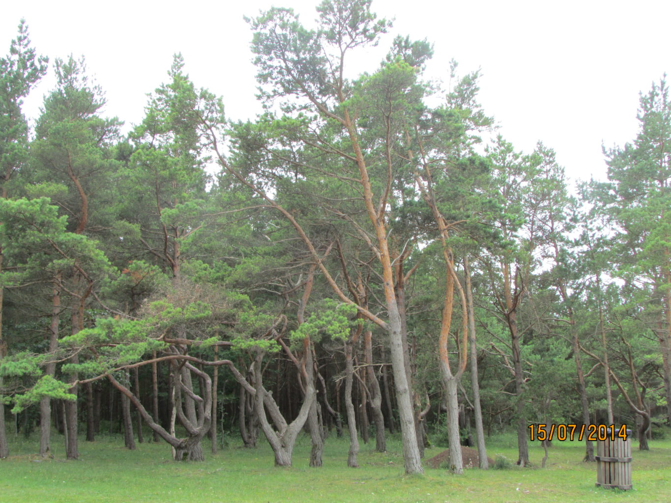 Valokuvaaja: Iida Peuraniemi