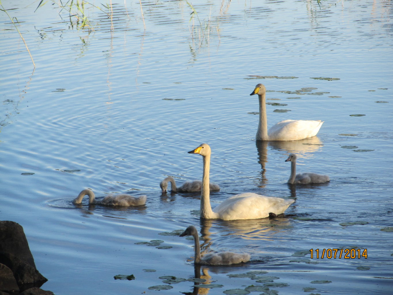 Valokuvaaja: Tuula Makkonen