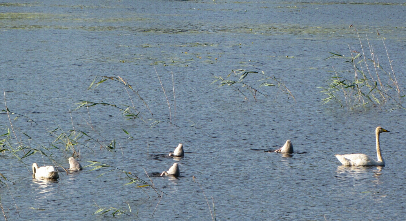 Valokuvaaja: Tuula Makkonen