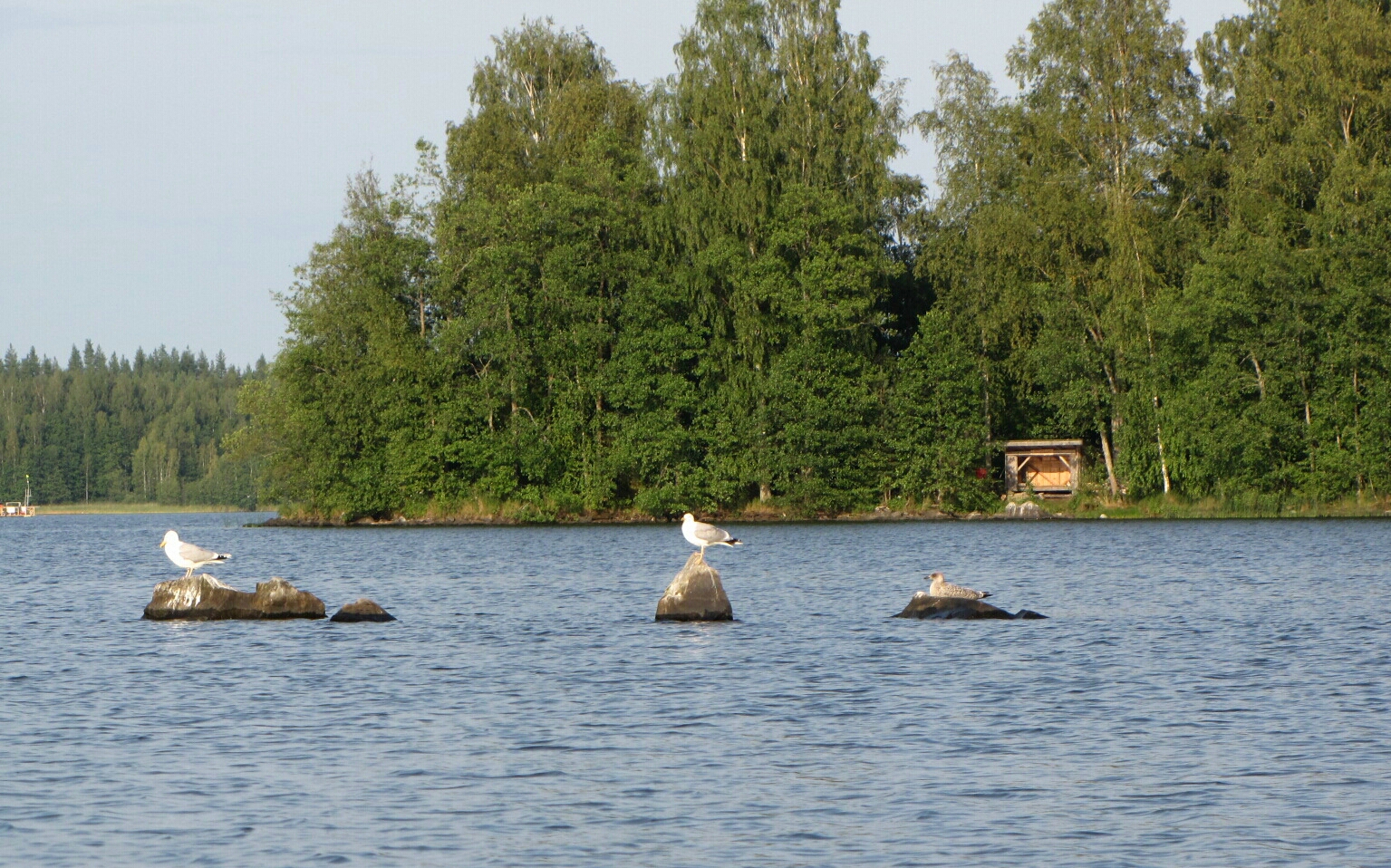 Valokuvaaja: Tuula Makkonen Valokuvaaja: Tuula Makkonen