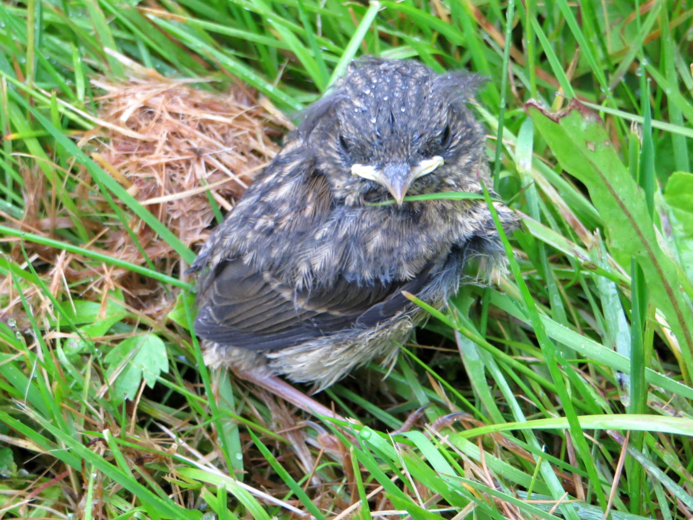 Valokuvaaja: Sirkka Ruotoistenmäki