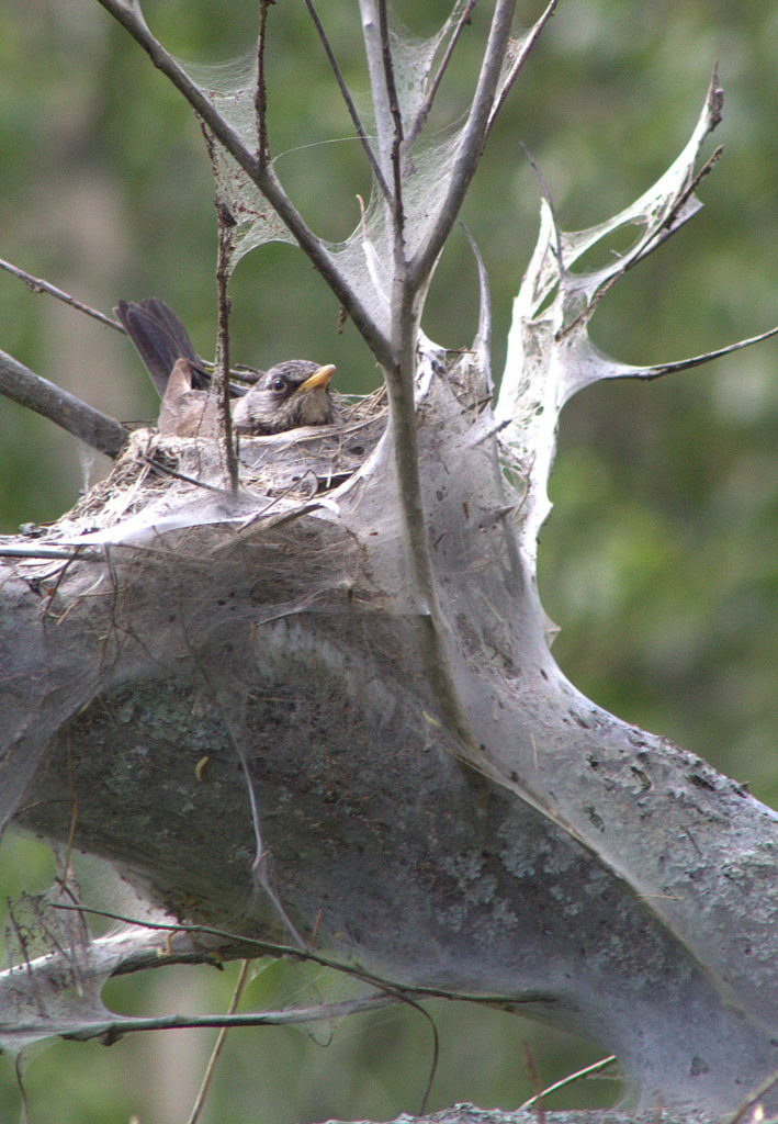 Valokuvaaja: Markku Luukkonen