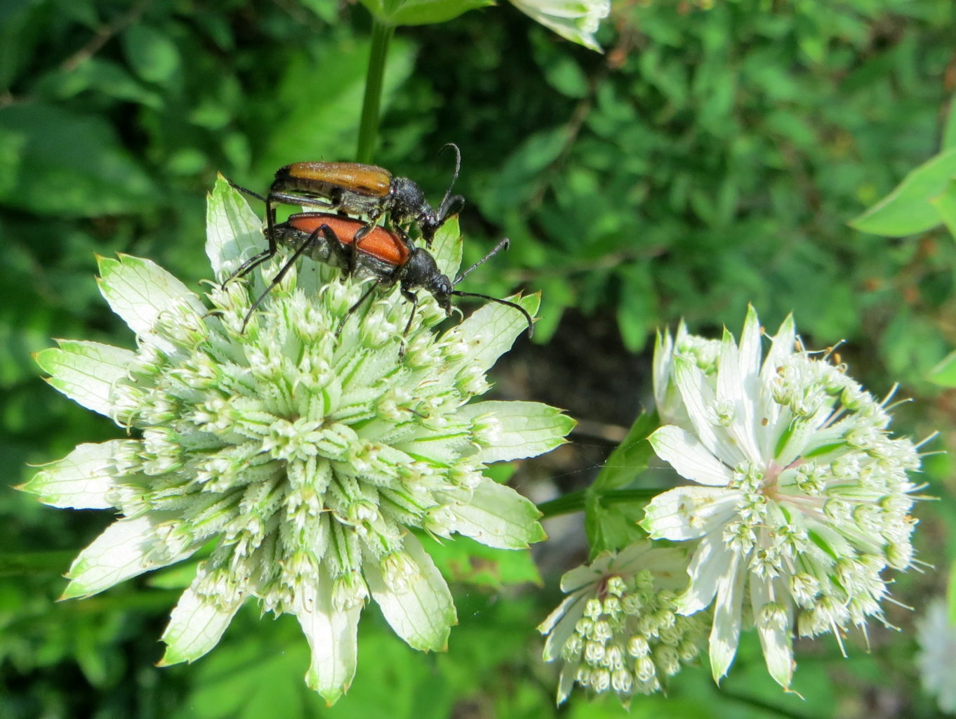 Valokuvaaja: Sirkka Ruotoistenmäki