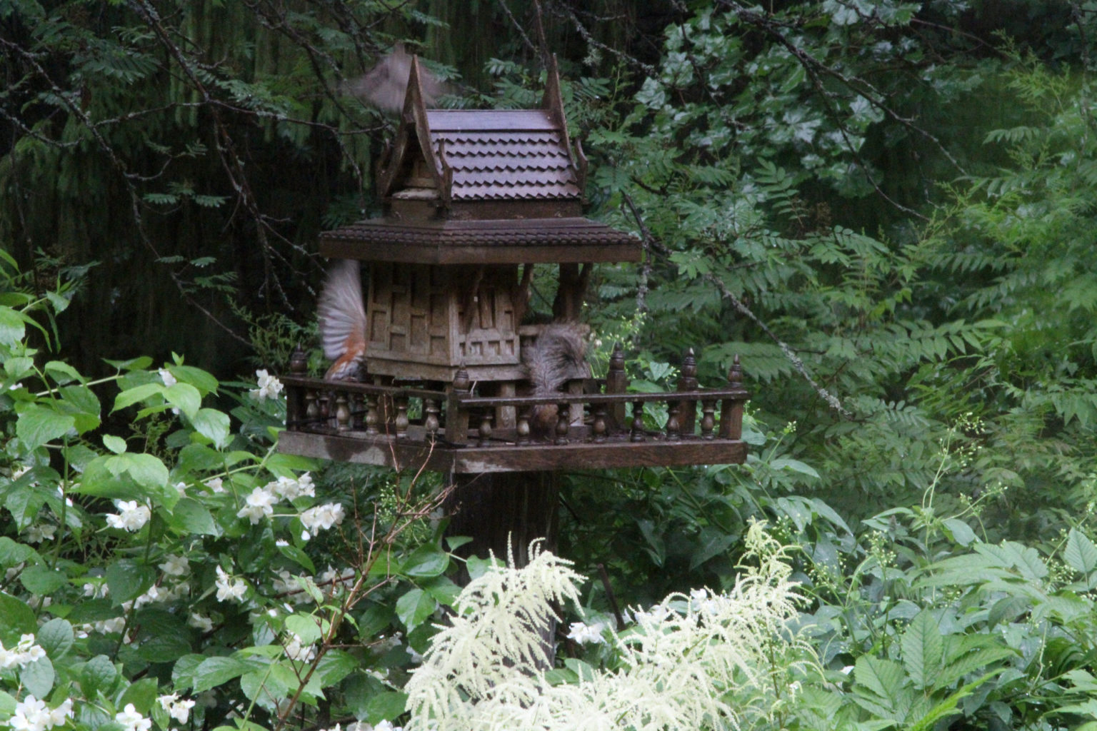 Valokuvaaja: Leena Kultanen