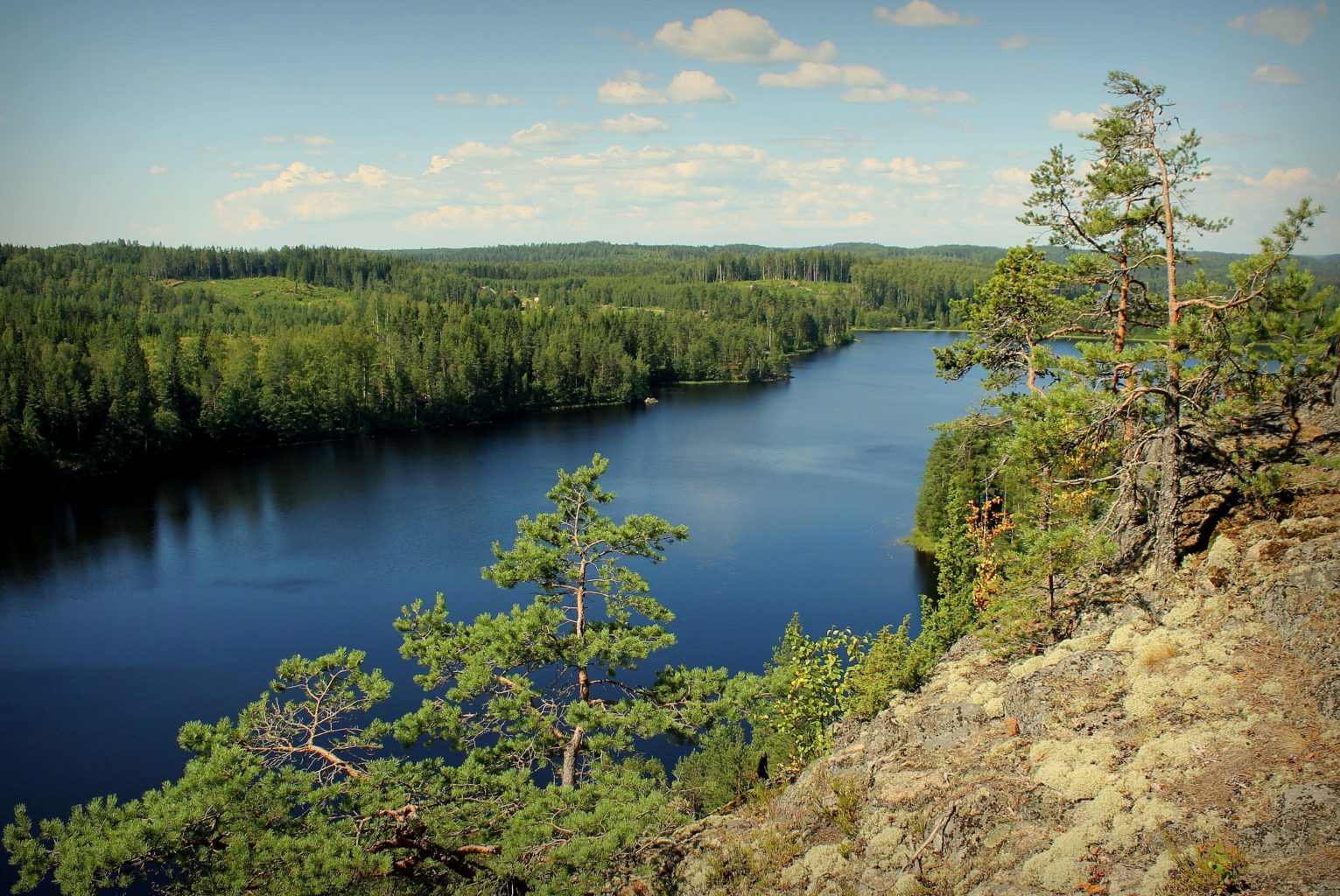 Valokuvaaja: Paula Savelius Valokuvaaja: Paula Savelius