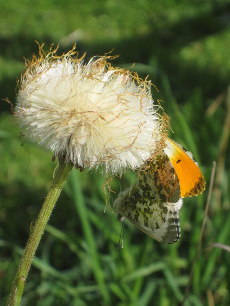 Valokuvaaja: Sari Haikarainen Valokuvaaja: Sari Haikarainen
