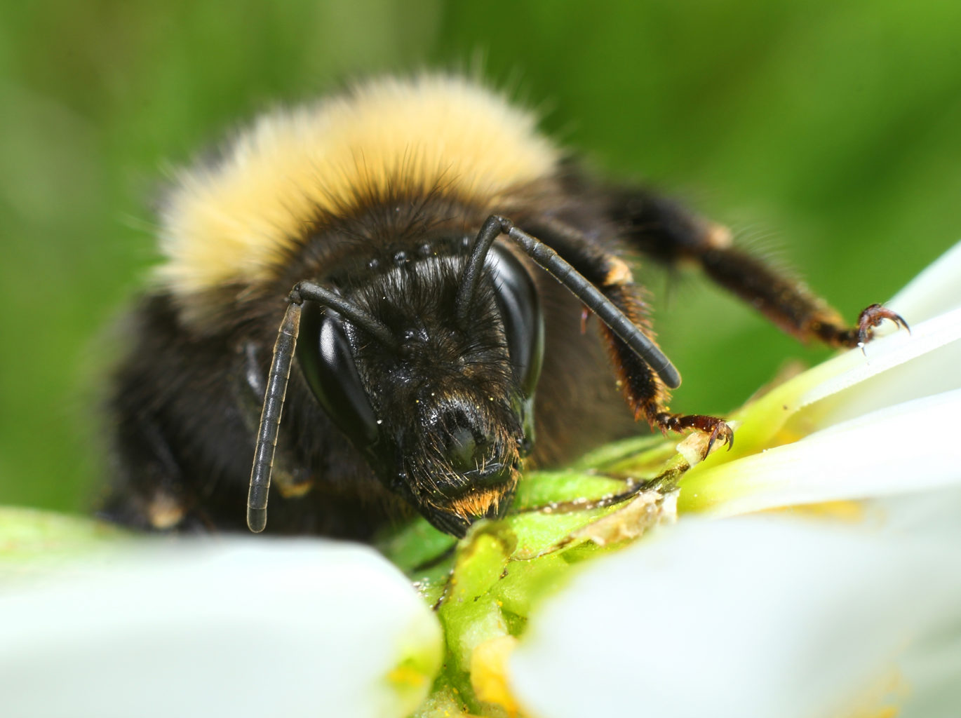 Valokuvaaja: Tarja Porkkala