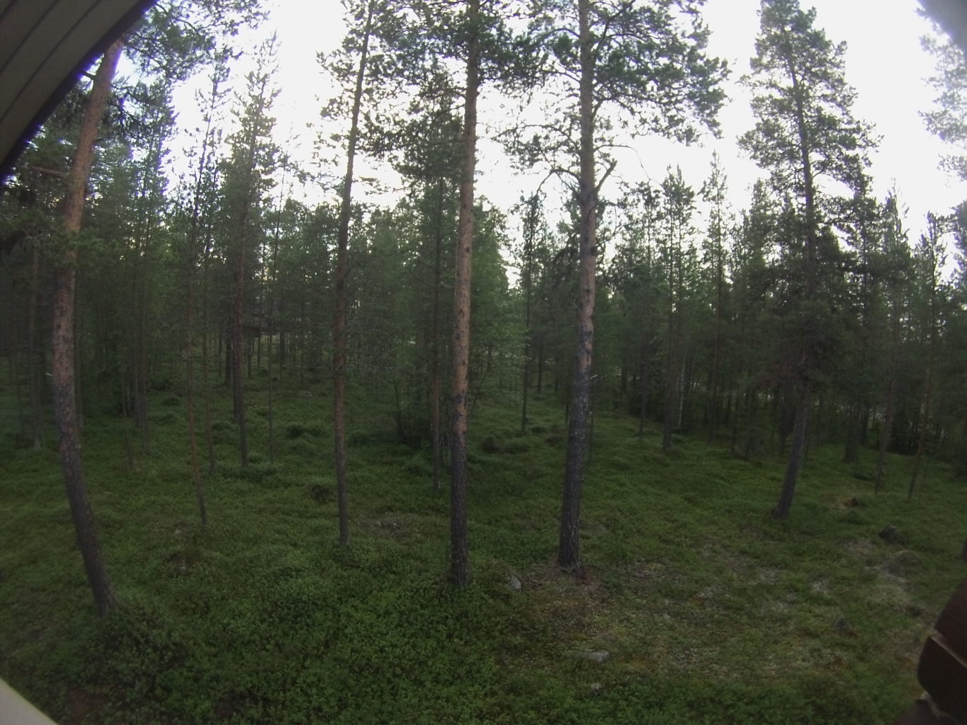 Valokuvaaja: jami palmu