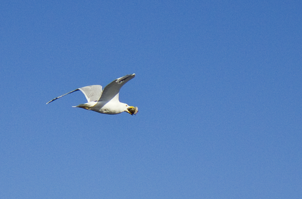 Valokuvaaja: Eija Lehto