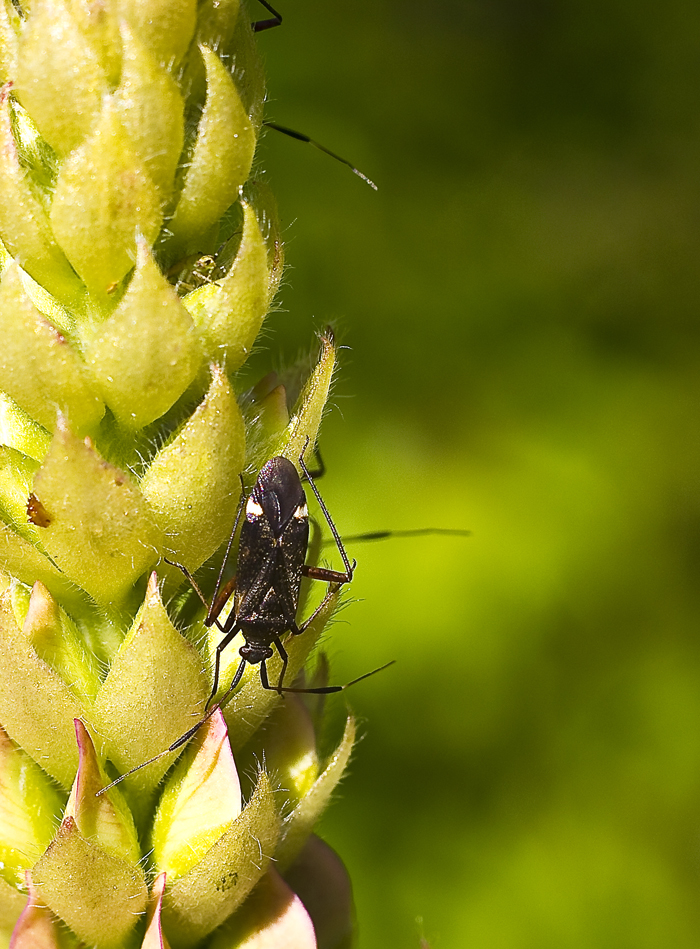 Valokuvaaja: Eija Lehto