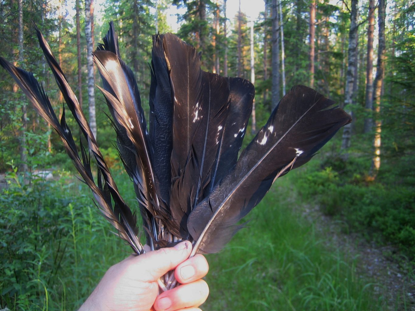 Valokuvaaja: Juhani Kolari