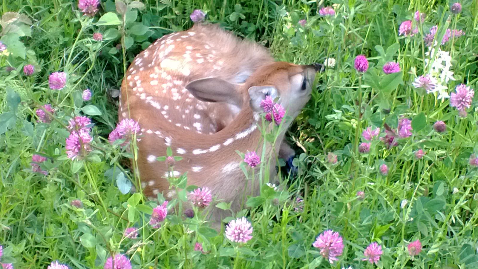 Valokuvaaja: Taina Ratia