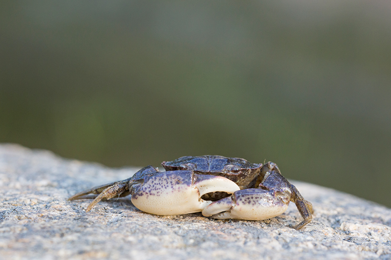 Valokuvaaja: Pasi kannisto