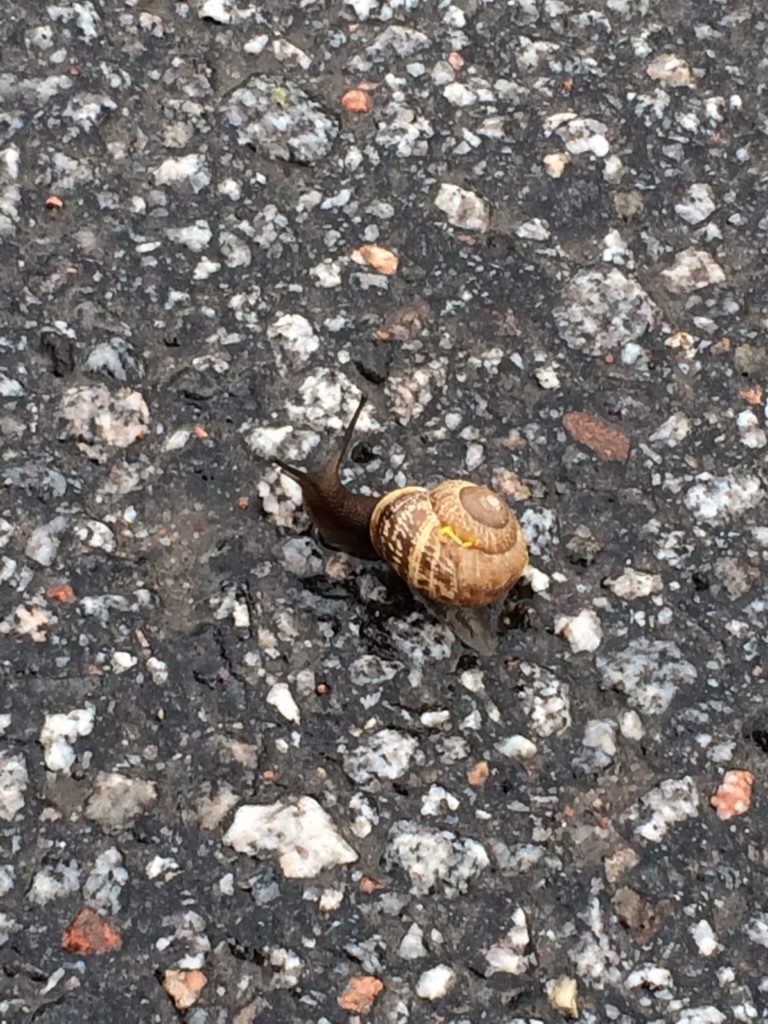 Valokuvaaja: Emilia Myllymaa