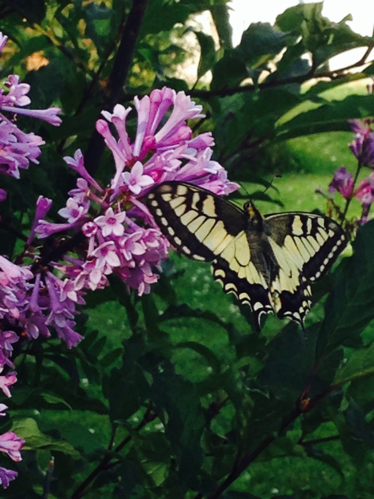 Valokuvaaja: Sonja Vehkaoja