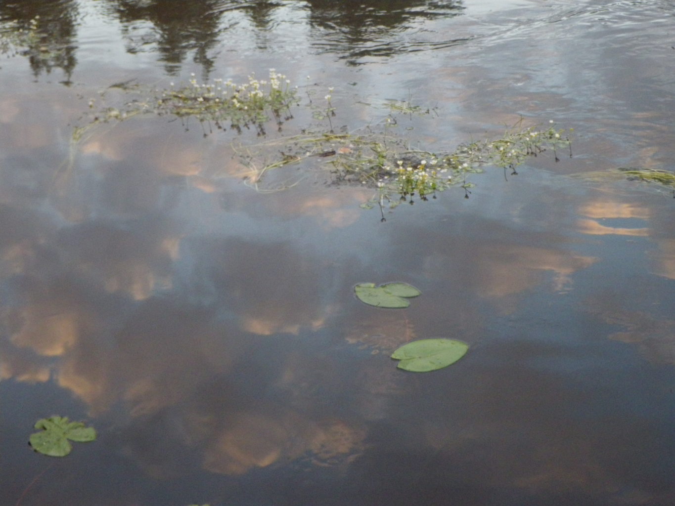 Valokuvaaja: Sirkka Huitila