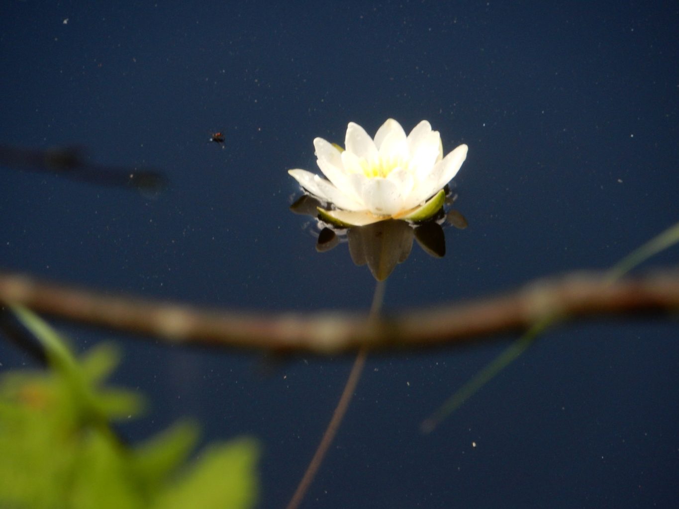 Valokuvaaja: Lea Mäyrä