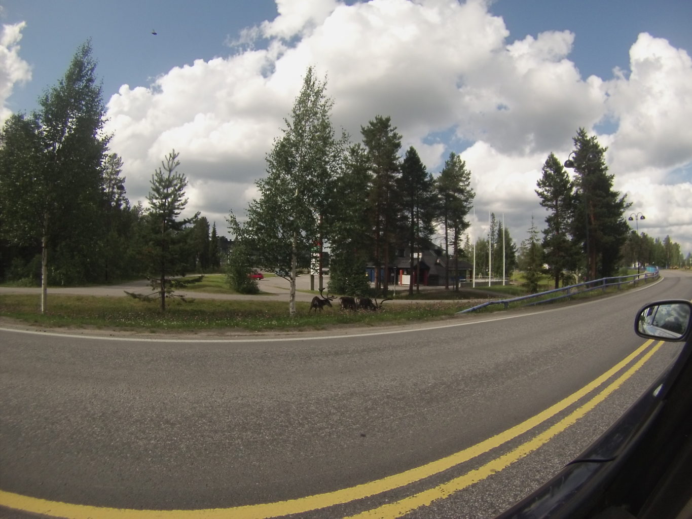 Valokuvaaja: jami palmu