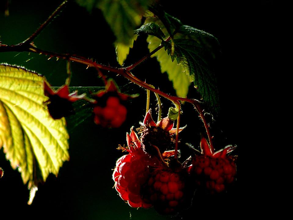 Valokuvaaja: Eija Varjola