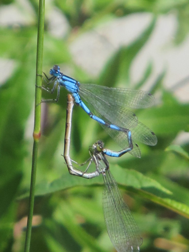 Valokuvaaja: Eija Hyvärinen