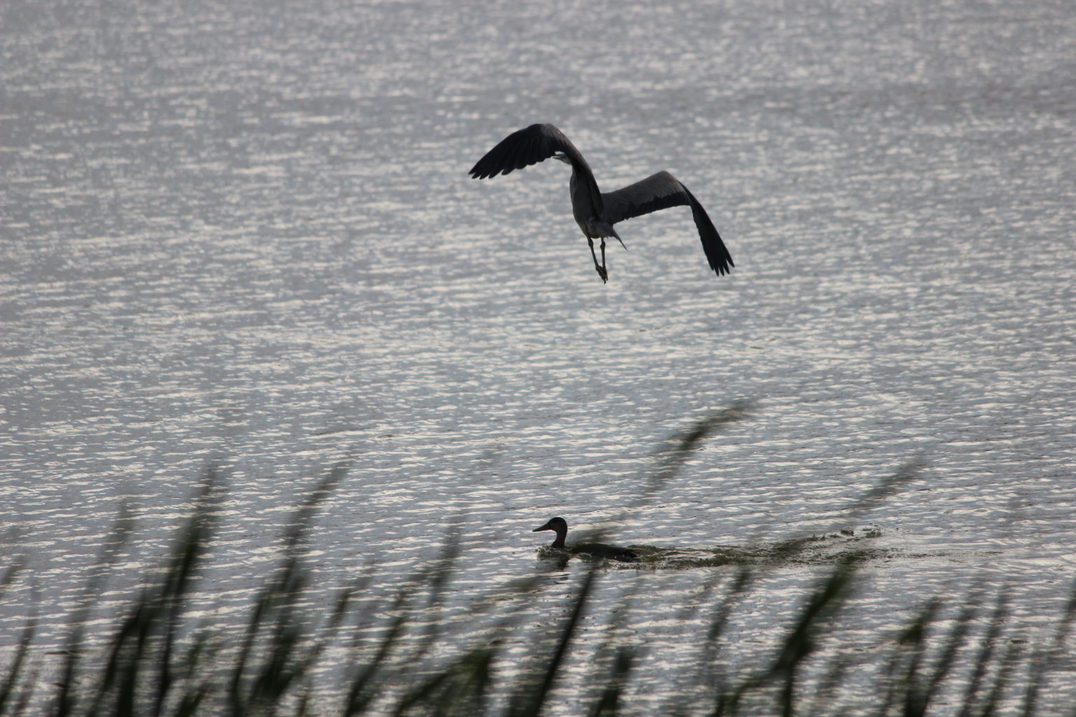 Valokuvaaja: Aila Paija