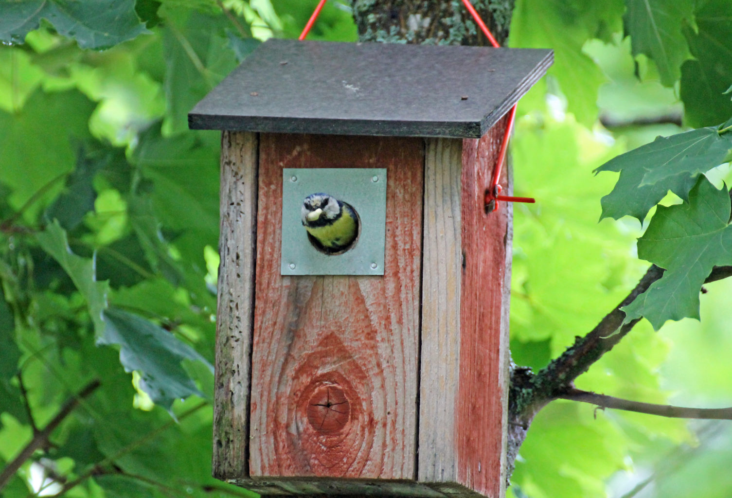 Valokuvaaja: Katri Mäkinen