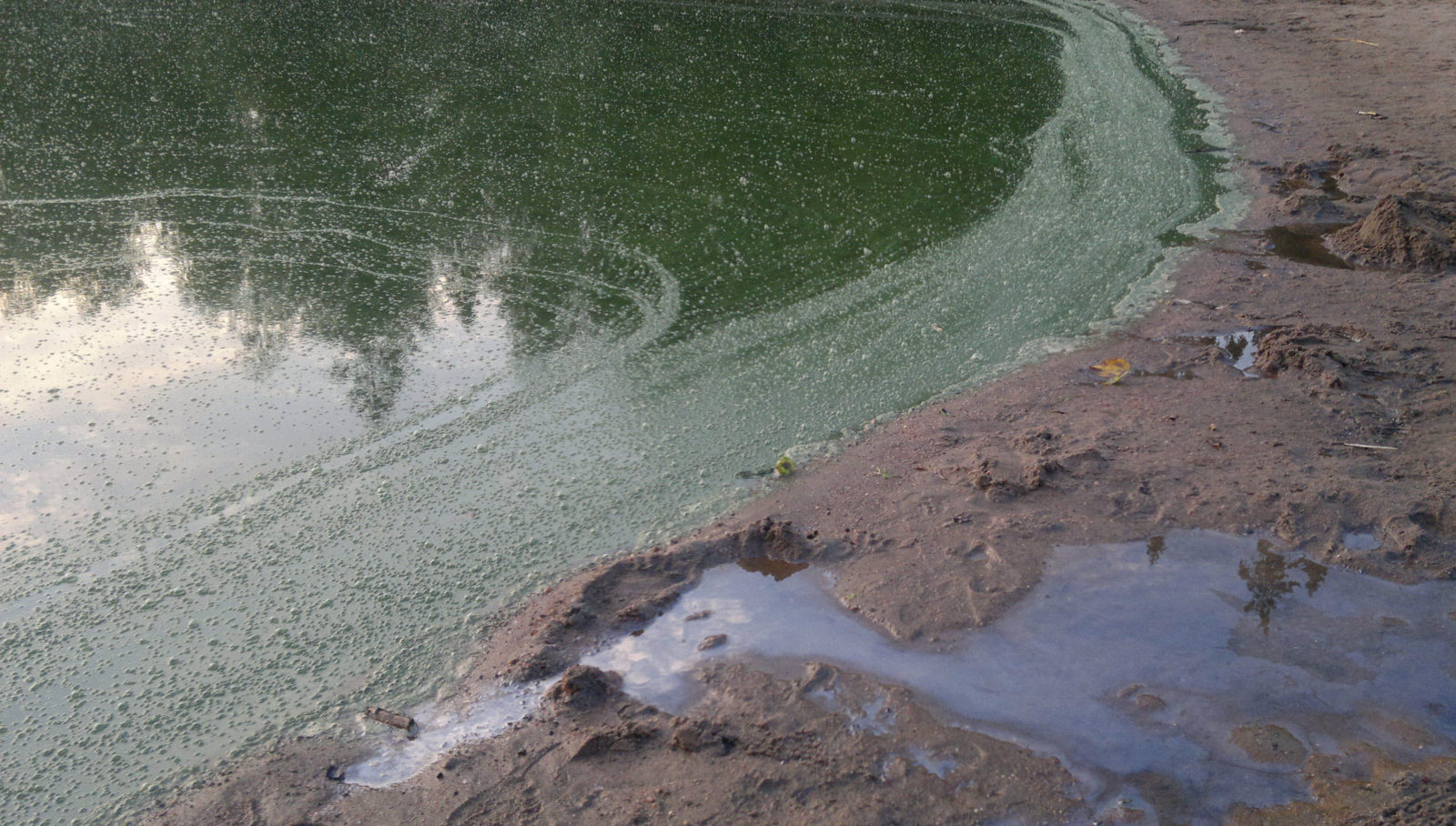 Valokuvaaja: Hannu Linnamo