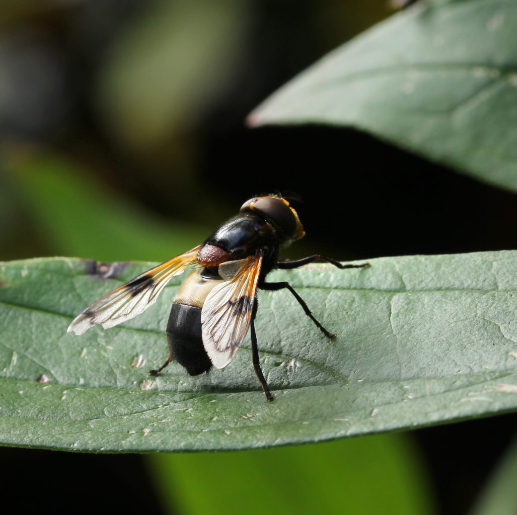 Valokuvaaja: Tarja Porkkala