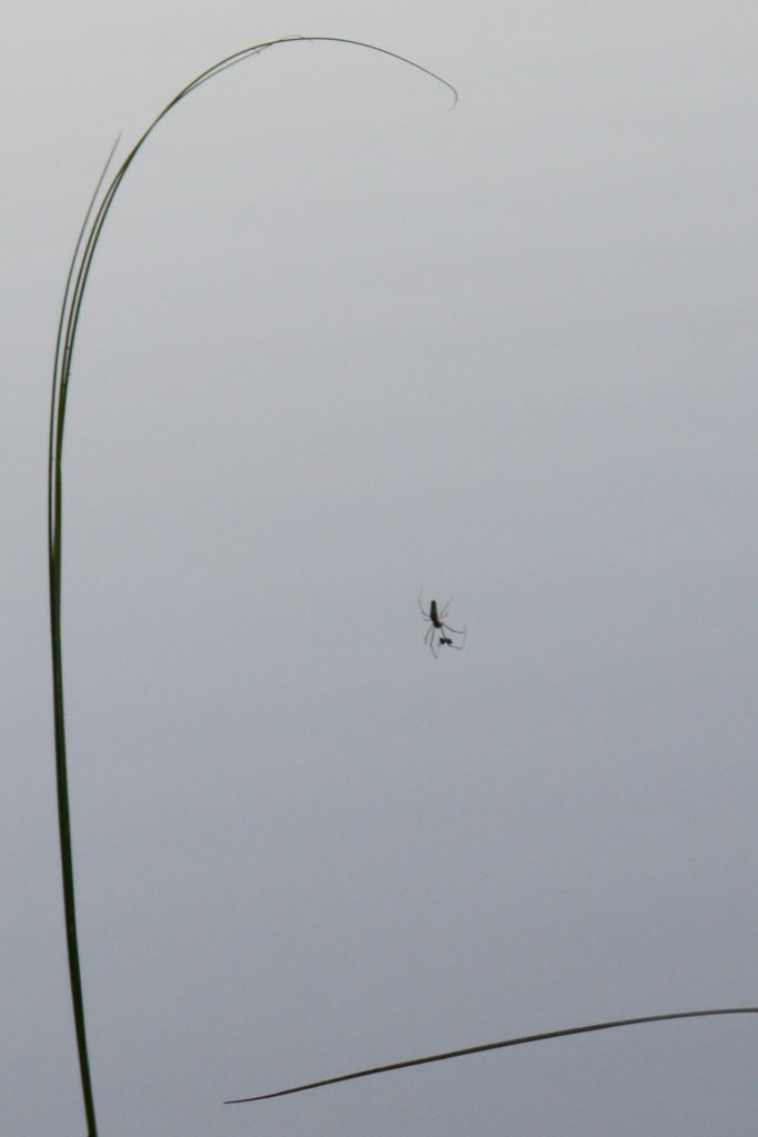 Valokuvaaja: Heli Heiniö