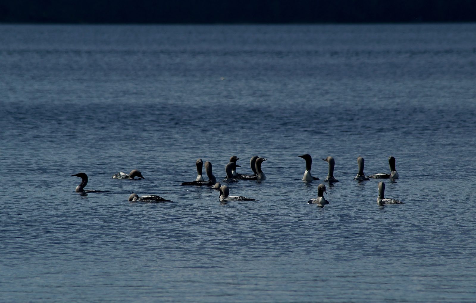 Valokuvaaja: Maarit Siitonen