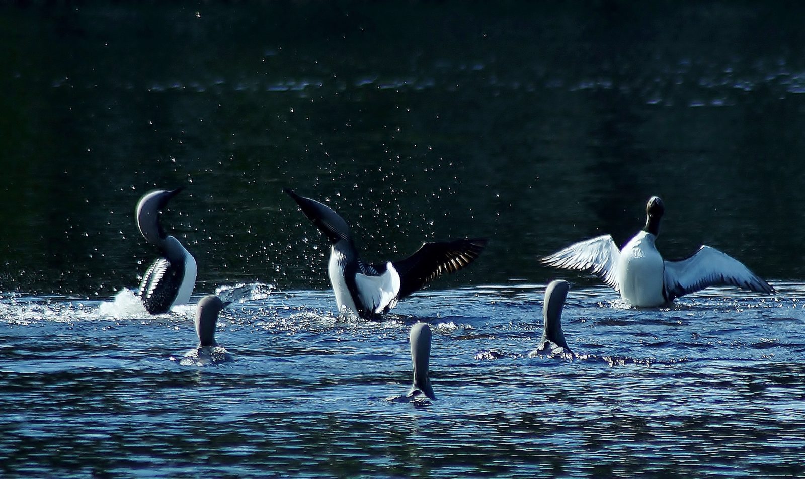 Valokuvaaja: Maarit Siitonen