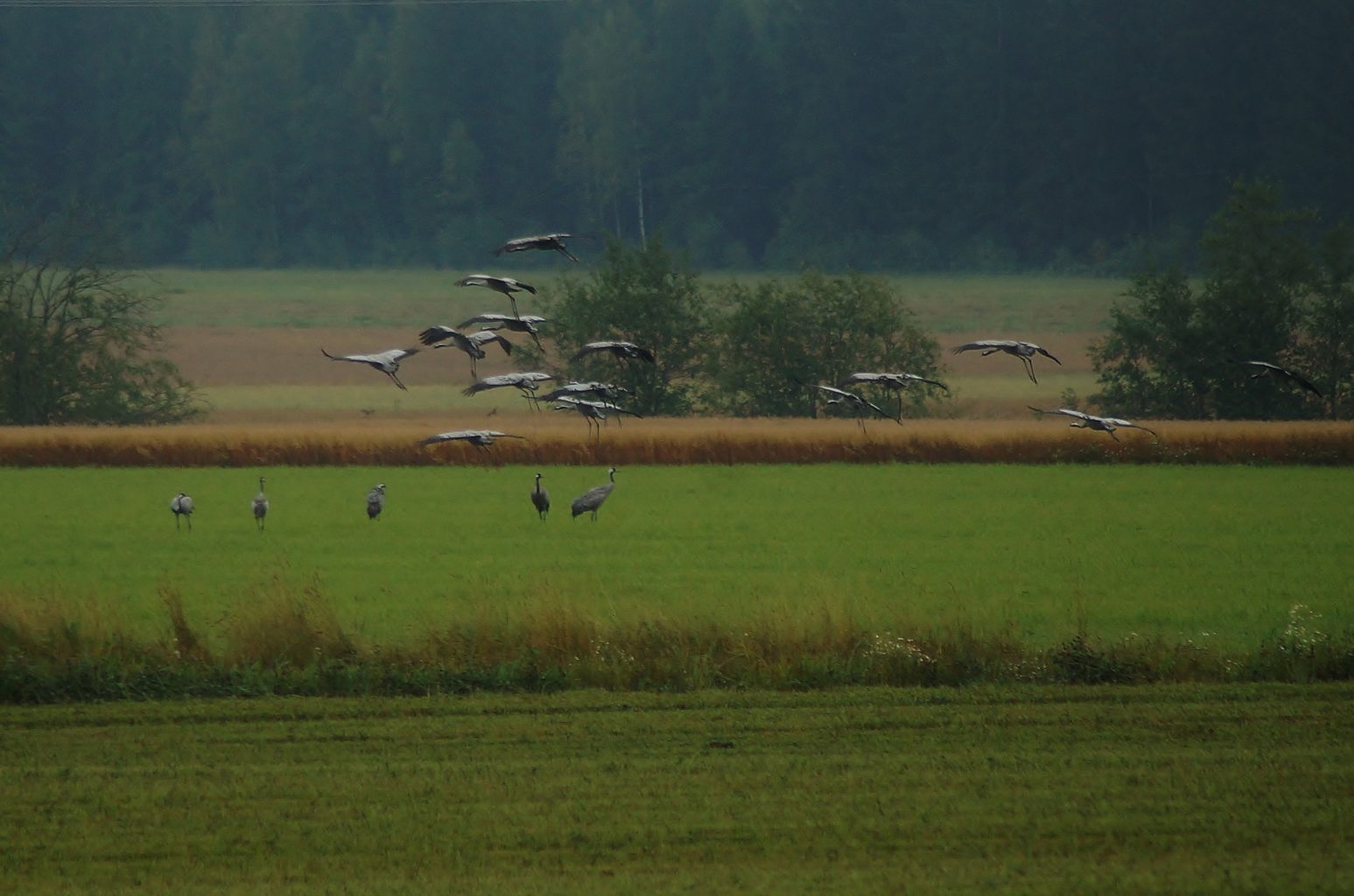 Valokuvaaja: Maarit Siitonen