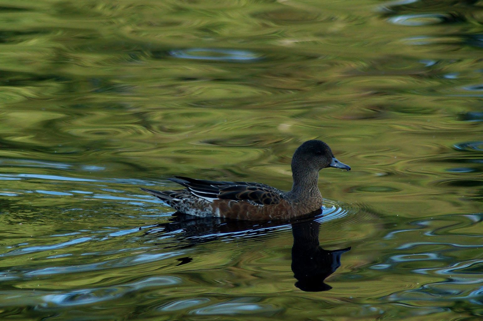 Valokuvaaja: Maarit Siitonen
