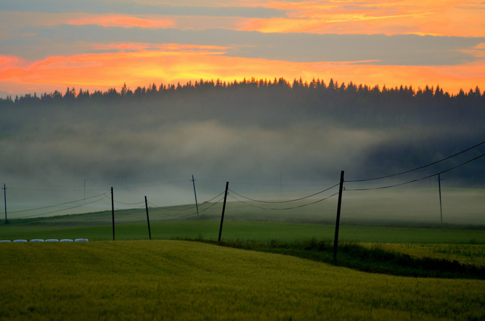 Valokuvaaja: Eija Varjola Valokuvaaja: Eija Varjola