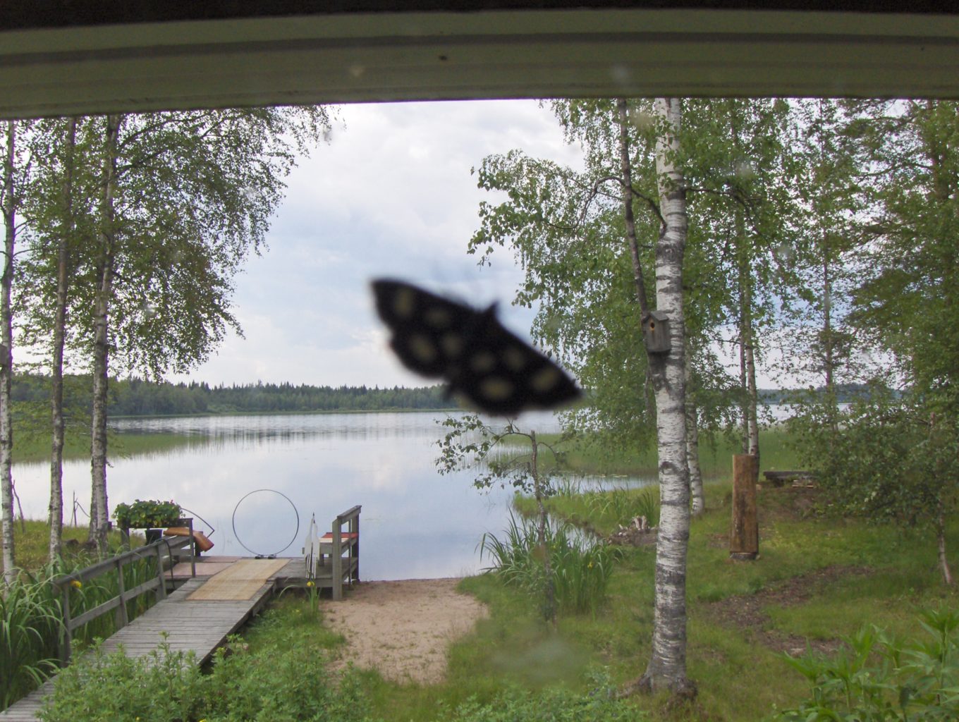 Valokuvaaja: Pirjo Rikala